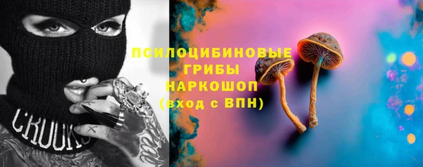 круглые Абаза