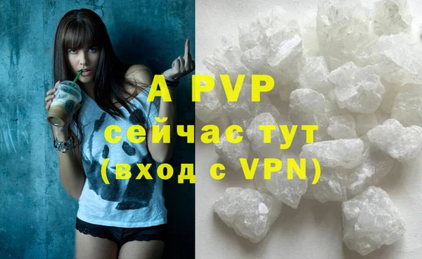 круглые Абаза