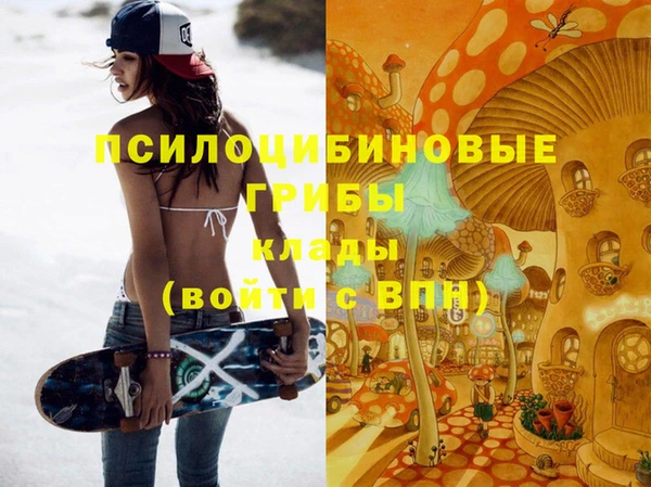 круглые Абаза